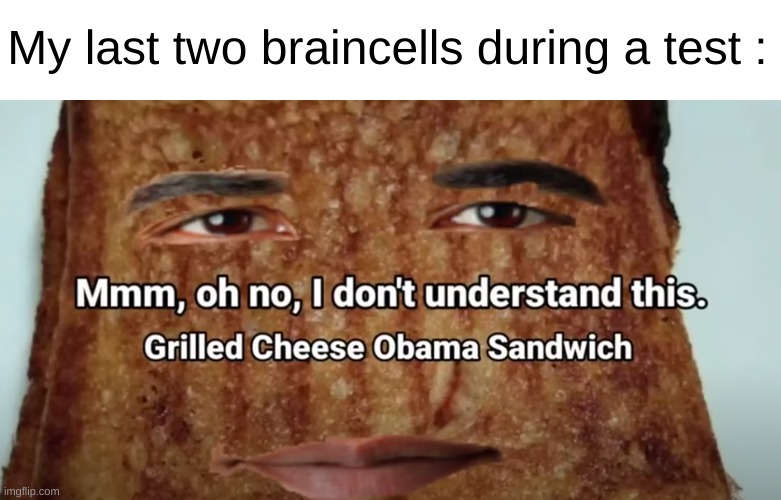 True | My last two braincells during a test : | image tagged in grilled cheese obama sandwich | made w/ Imgflip meme maker