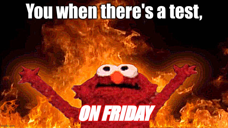Oh gosh | You when there's a test, ON FRIDAY | image tagged in elmo fire | made w/ Imgflip meme maker
