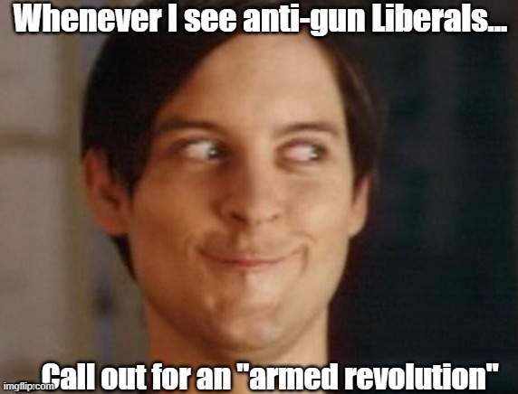 Bring it on, snowflakes |  Whenever I see anti-gun Liberals... ... Call out for an "armed revolution" | image tagged in memes,spiderman peter parker,liberals,guns,leftists | made w/ Imgflip meme maker