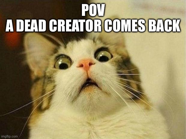 IM BACK | POV
A DEAD CREATOR COMES BACK | image tagged in memes,scared cat | made w/ Imgflip meme maker