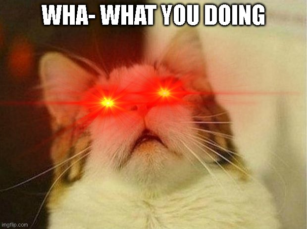 Bad CAT!!! | WHA- WHAT YOU DOING | image tagged in cats,bad time | made w/ Imgflip meme maker