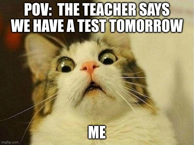 Scared Cat | POV:  THE TEACHER SAYS WE HAVE A TEST TOMORROW; ME | image tagged in memes,scared cat | made w/ Imgflip meme maker