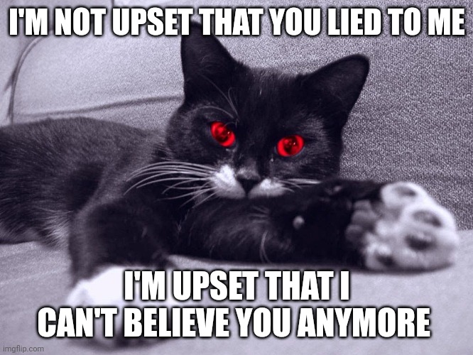 Cats | I'M NOT UPSET THAT YOU LIED TO ME; I'M UPSET THAT I CAN'T BELIEVE YOU ANYMORE | image tagged in memes | made w/ Imgflip meme maker