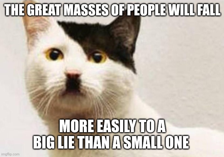 Cats | THE GREAT MASSES OF PEOPLE WILL FALL; MORE EASILY TO A BIG LIE THAN A SMALL ONE | image tagged in lies | made w/ Imgflip meme maker