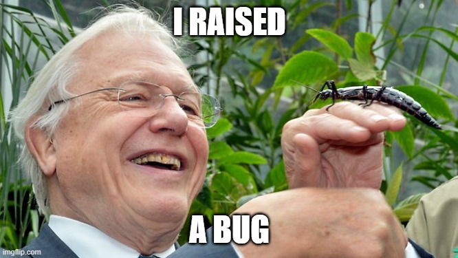 I raised a bug | I RAISED; A BUG | image tagged in qa,bug,testing | made w/ Imgflip meme maker