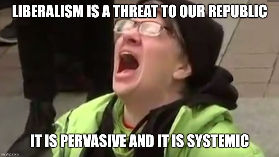 Systemic Liberalism | LIBERALISM IS A THREAT TO OUR REPUBLIC; IT IS PERVASIVE AND IT IS SYSTEMIC | image tagged in screaming liberal,joe biden,brain,dead,scumbag | made w/ Imgflip meme maker