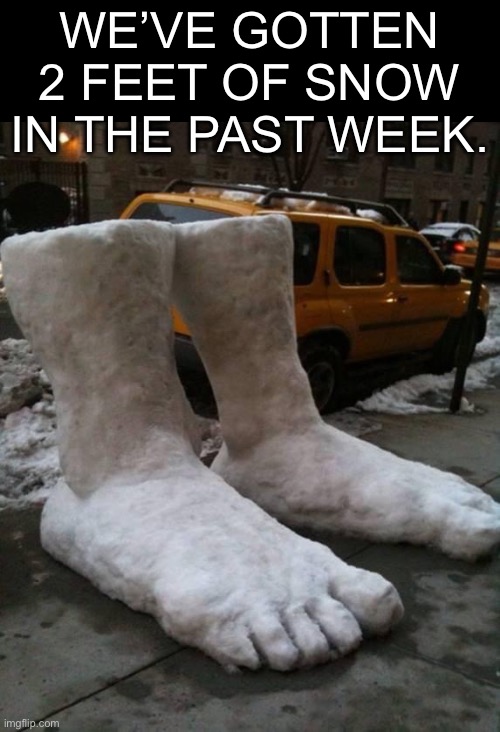 Truth where I live | WE’VE GOTTEN 2 FEET OF SNOW IN THE PAST WEEK. | image tagged in bad pun | made w/ Imgflip meme maker