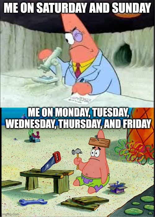 .. |  ME ON SATURDAY AND SUNDAY; ME ON MONDAY, TUESDAY, WEDNESDAY, THURSDAY, AND FRIDAY | image tagged in patrick smart dumb,memes | made w/ Imgflip meme maker