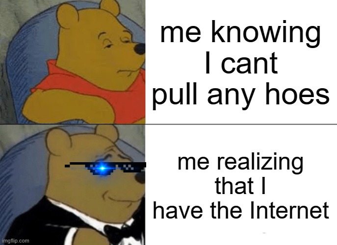 me knowing i cant pull hoes | me knowing I cant pull any hoes; me realizing that I have the Internet | image tagged in memes,tuxedo winnie the pooh | made w/ Imgflip meme maker