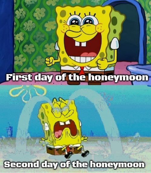 spongebob happy and sad | First day of the honeymoon; Second day of the honeymoon | image tagged in spongebob happy and sad,slavic | made w/ Imgflip meme maker