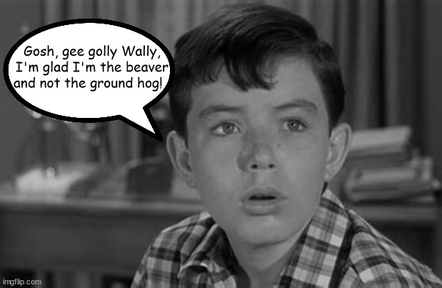 Ground Hog's Day | Gosh, gee golly Wally, I'm glad I'm the beaver and not the ground hog! | image tagged in ground hog's day | made w/ Imgflip meme maker