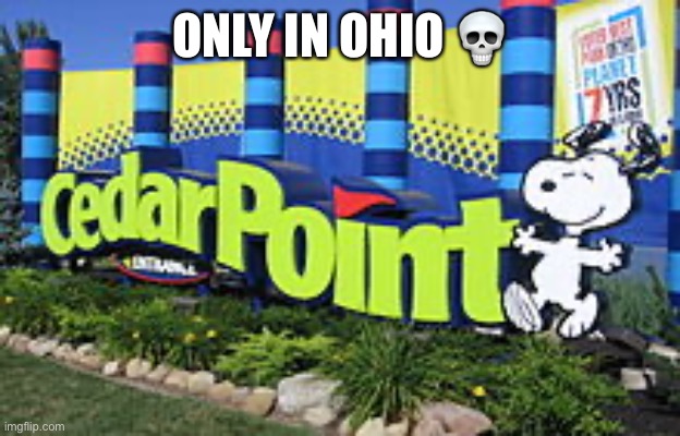 Cedar point in ohio | ONLY IN OHIO 💀 | made w/ Imgflip meme maker