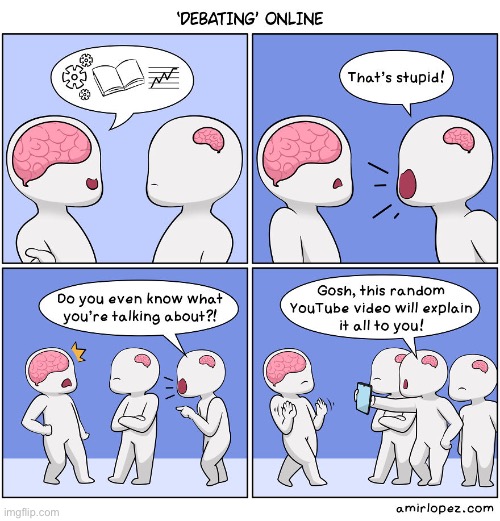 ‘Debating’ online | image tagged in comics/cartoons,comics,wholesome,memes,wholesome content,online | made w/ Imgflip meme maker