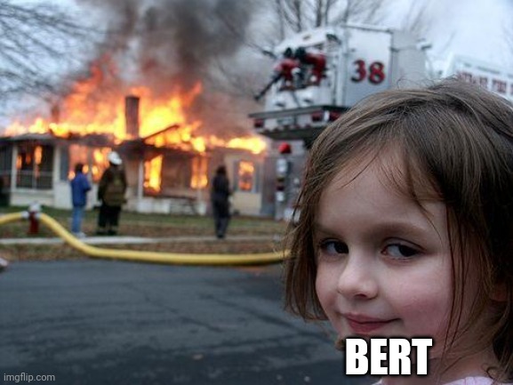 Disaster Girl Meme | BERT | image tagged in memes,disaster girl | made w/ Imgflip meme maker