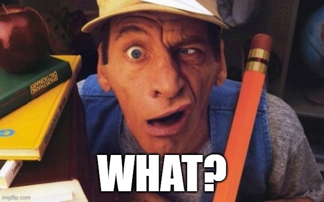 ERNEST P WORRELL | WHAT? | image tagged in what | made w/ Imgflip meme maker