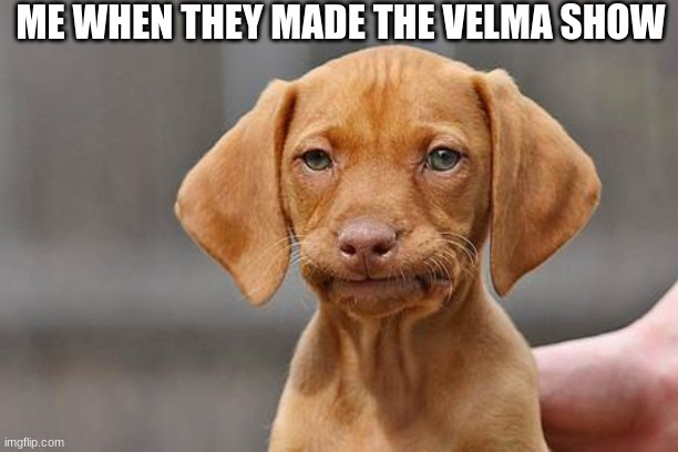Dissapointed puppy | ME WHEN THEY MADE THE VELMA SHOW | image tagged in dissapointed puppy | made w/ Imgflip meme maker