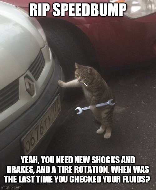 Mechanic cat | RIP SPEEDBUMP YEAH, YOU NEED NEW SHOCKS AND BRAKES, AND A TIRE ROTATION. WHEN WAS THE LAST TIME YOU CHECKED YOUR FLUIDS? | image tagged in mechanic cat | made w/ Imgflip meme maker