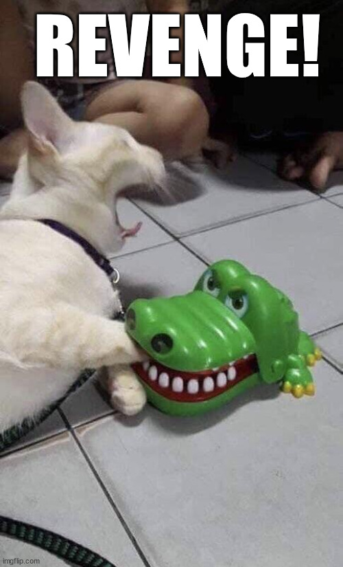 Cat and Alligator | REVENGE! | image tagged in cat and alligator | made w/ Imgflip meme maker