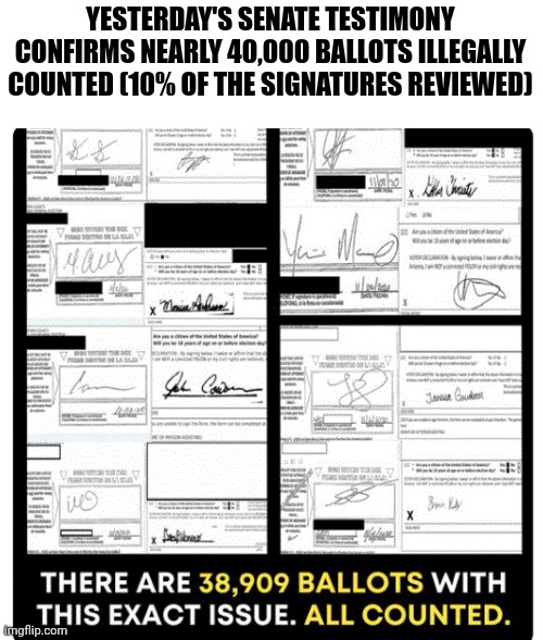 Voter Fraud Confirmed | YESTERDAY'S SENATE TESTIMONY CONFIRMS NEARLY 40,000 BALLOTS ILLEGALLY COUNTED (10% OF THE SIGNATURES REVIEWED) | image tagged in voter fraud | made w/ Imgflip meme maker