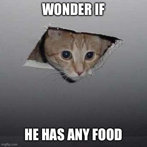 Cat in ceiling | WONDER IF; HE HAS ANY FOOD | image tagged in memes,ceiling cat | made w/ Imgflip meme maker
