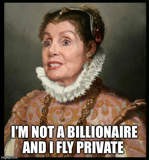 Where has Nancy. Gone | I’M NOT A BILLIONAIRE AND I FLY PRIVATE | image tagged in nancy rules america | made w/ Imgflip meme maker