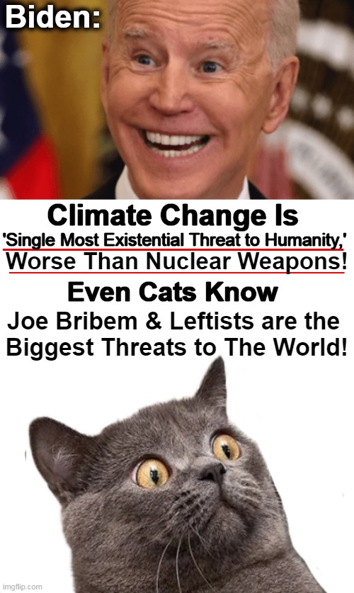 The Inmates Are Running The Asylum! | Biden:; Climate Change Is; 'Single Most Existential Threat to Humanity,'; Worse Than Nuclear Weapons! Even Cats Know; Joe Bribem & Leftists are the 
Biggest Threats to The World! | image tagged in politics,joe biden,he did it again,political humor,cats are smarter than joe biden,climate change | made w/ Imgflip meme maker