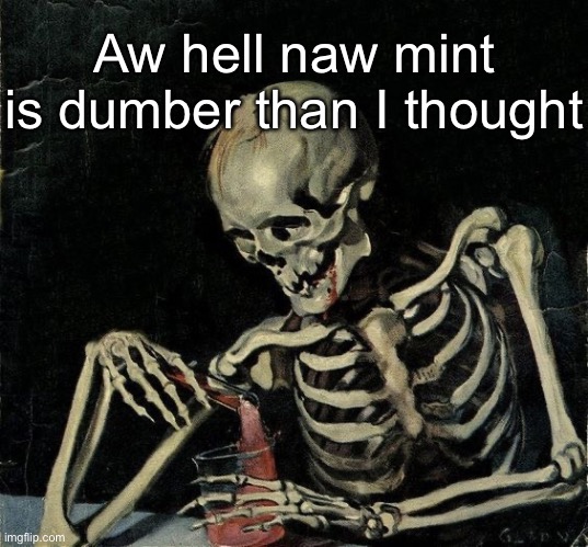 Skeleton Cooking meth | Aw hell naw mint is dumber than I thought | image tagged in skeleton cooking meth | made w/ Imgflip meme maker