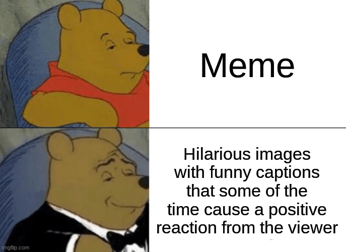 Tuxedo Winnie The Pooh Meme | Meme; Hilarious images with funny captions that some of the time cause a positive reaction from the viewer | image tagged in memes,tuxedo winnie the pooh | made w/ Imgflip meme maker