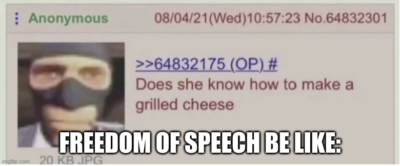 cuz yes | FREEDOM OF SPEECH BE LIKE: | image tagged in does she know how to make a grilled cheese | made w/ Imgflip meme maker