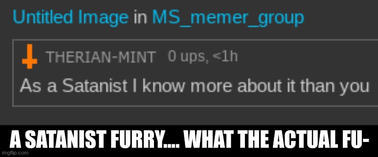 Certified BRUH moment | A SATANIST FURRY.... WHAT THE ACTUAL FU- | made w/ Imgflip meme maker