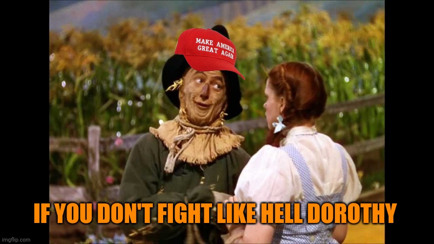 wizard of oz scarecrow | IF YOU DON'T FIGHT LIKE HELL DOROTHY | image tagged in wizard of oz scarecrow | made w/ Imgflip meme maker