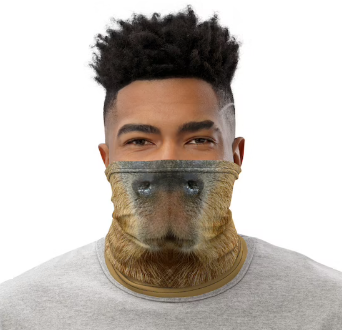 capybara mask Blank Meme Template