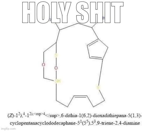 amogus | HOLY SHIT | image tagged in bruh,lol,why are you reading this | made w/ Imgflip meme maker
