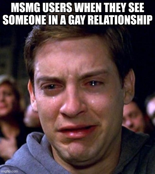 Oh boy, let's see how many death threats I can collect in one meme! | MSMG USERS WHEN THEY SEE SOMEONE IN A GAY RELATIONSHIP | image tagged in crying peter parker | made w/ Imgflip meme maker