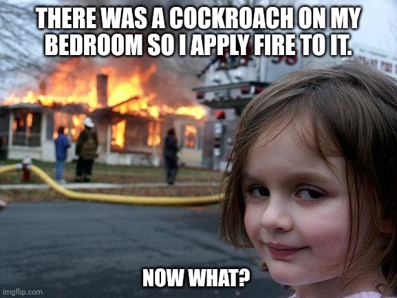 Disaster Girl | THERE WAS A COCKROACH ON MY BEDROOM SO I APPLY FIRE TO IT. NOW WHAT? | image tagged in memes,fiery,roach | made w/ Imgflip meme maker