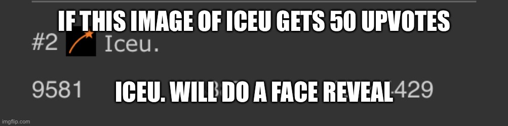 GUYS I PROMISE ITS REAL!!1!!!1!!11! | IF THIS IMAGE OF ICEU GETS 50 UPVOTES; ICEU. WILL DO A FACE REVEAL | image tagged in image tags | made w/ Imgflip meme maker