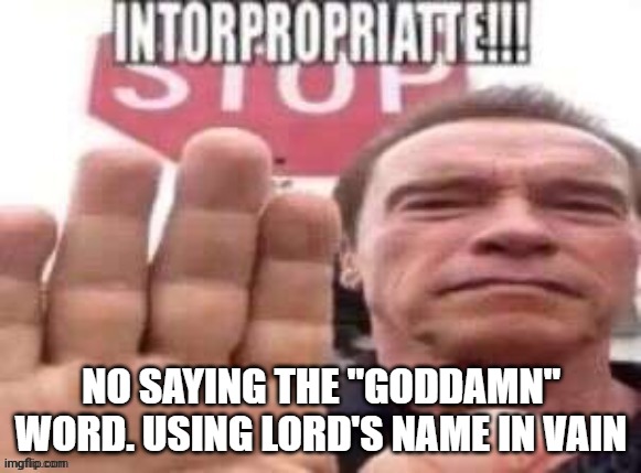 intorpropriatte | NO SAYING THE "GODDAMN" WORD. USING LORD'S NAME IN VAIN | image tagged in intorpropriatte | made w/ Imgflip meme maker