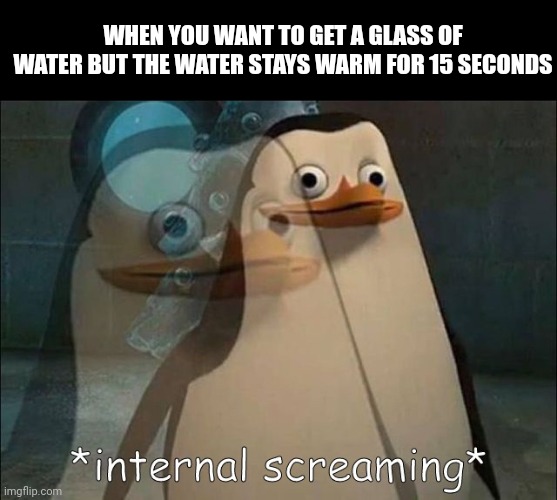 Meme #394 | WHEN YOU WANT TO GET A GLASS OF WATER BUT THE WATER STAYS WARM FOR 15 SECONDS | image tagged in private internal screaming,water,annoying,relatable,madagascar,memes | made w/ Imgflip meme maker