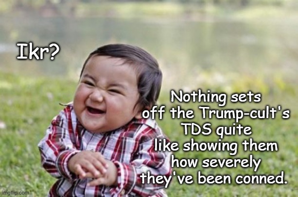 Evil Toddler Meme | Ikr? Nothing sets off the Trump-cult's TDS quite like showing them how severely they've been conned. | image tagged in memes,evil toddler | made w/ Imgflip meme maker