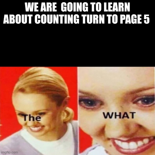 The What | WE ARE  GOING TO LEARN ABOUT COUNTING TURN TO PAGE 5 | image tagged in the what | made w/ Imgflip meme maker