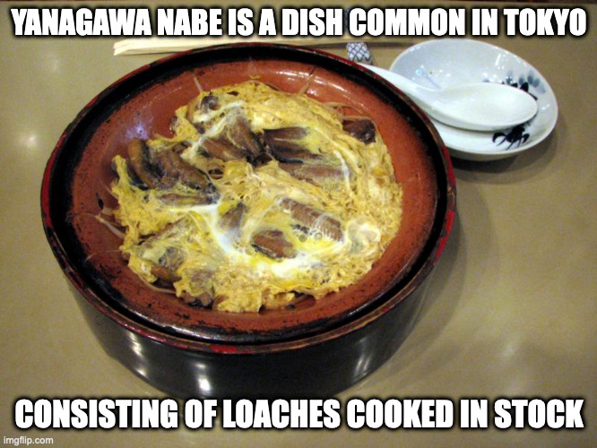 Yanagawa Nabe | YANAGAWA NABE IS A DISH COMMON IN TOKYO; CONSISTING OF LOACHES COOKED IN STOCK | image tagged in food,memes | made w/ Imgflip meme maker