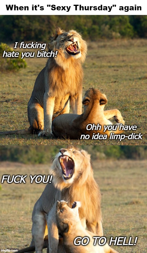 Image tagged in nsfw,funny animals,marriage,dirty joke Imgflip