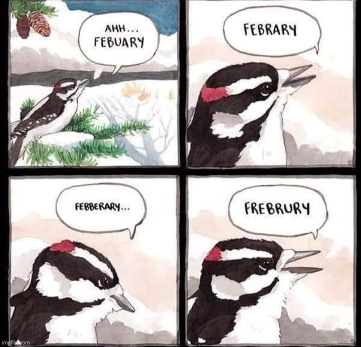 February comic | image tagged in february comic | made w/ Imgflip meme maker