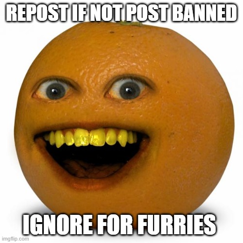 Annoying Orange | REPOST IF NOT POST BANNED; IGNORE FOR FURRIES | image tagged in annoying orange | made w/ Imgflip meme maker