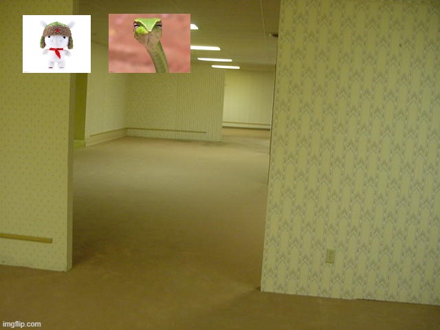 two people in my basement | image tagged in the backrooms | made w/ Imgflip meme maker