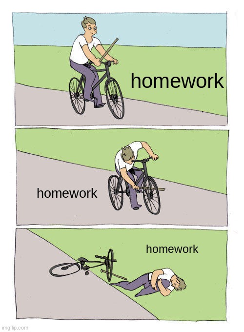kid having a normal day | homework; homework; homework | image tagged in memes,bike fall | made w/ Imgflip meme maker