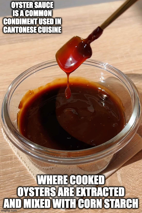 Oyster Sauce | OYSTER SAUCE IS A COMMON CONDIMENT USED IN CANTONESE CUISINE; WHERE COOKED OYSTERS ARE EXTRACTED AND MIXED WITH CORN STARCH | image tagged in sauce,memes | made w/ Imgflip meme maker