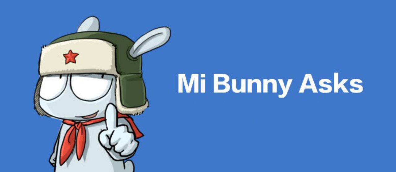 High Quality Mi Bunny asks Blank Meme Template