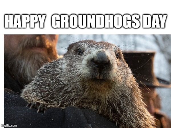 not a meme | HAPPY  GROUNDHOGS DAY | image tagged in groundhog day,not a meme | made w/ Imgflip meme maker