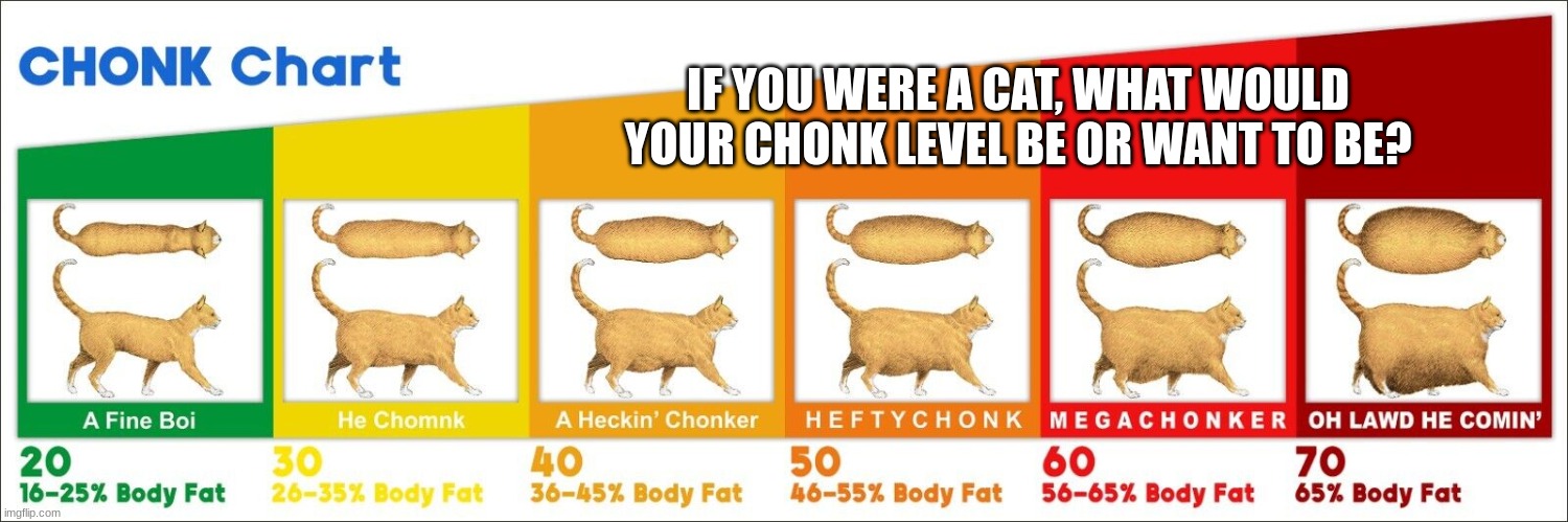 Cat Chonk Chart | IF YOU WERE A CAT, WHAT WOULD YOUR CHONK LEVEL BE OR WANT TO BE? | made w/ Imgflip meme maker